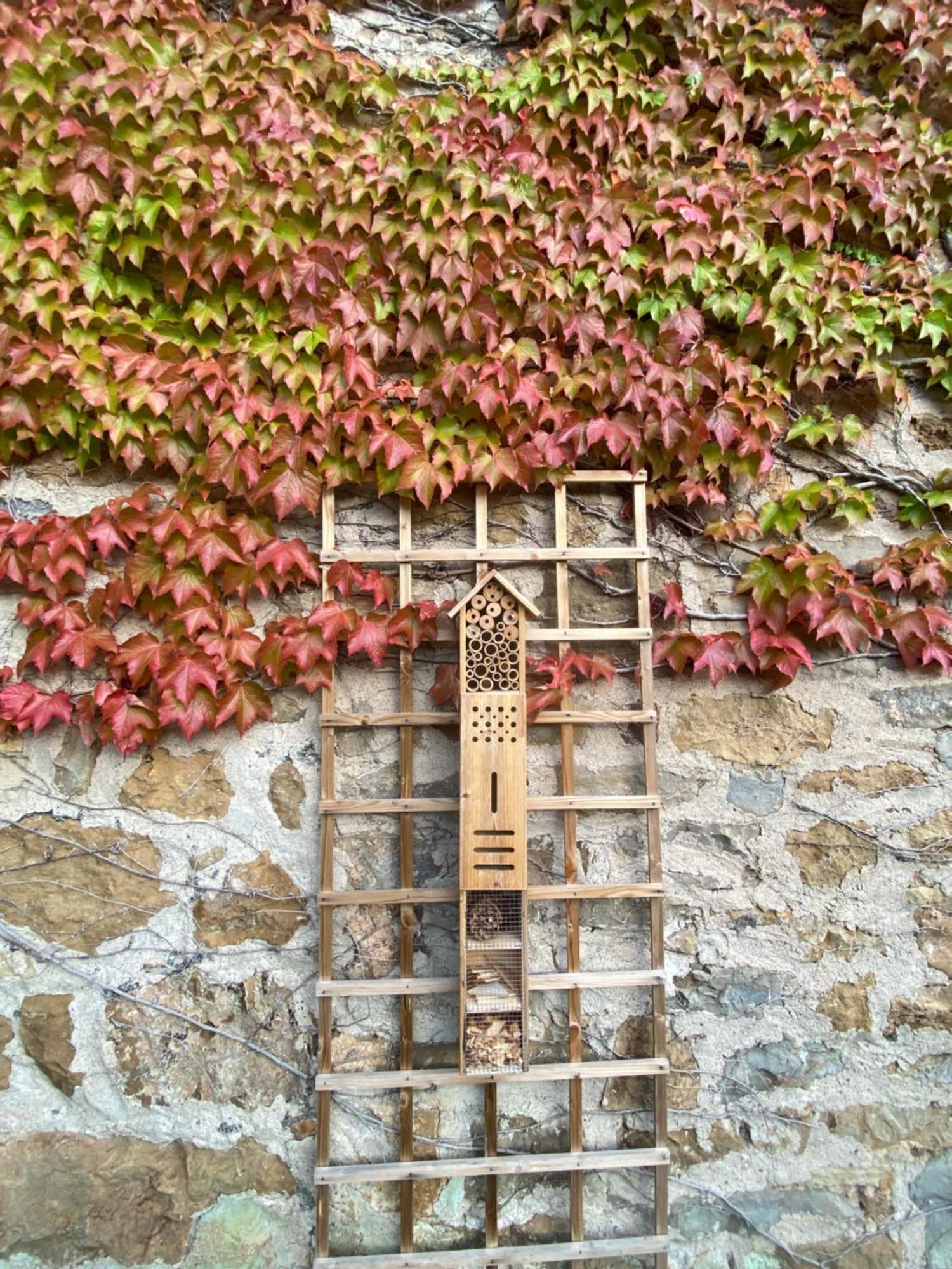 Saint-Beauzely Les Caselles, Gite Et Maison D'Hotes מראה חיצוני תמונה